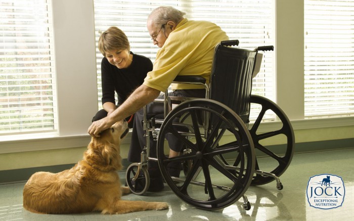 Therapy-dogs-secondary-image